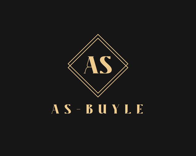Logo de l'agence AS Buyle